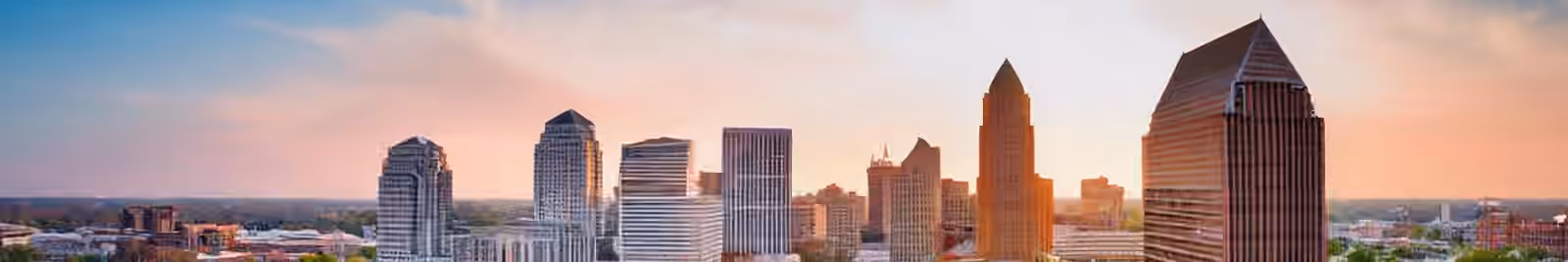 Page header banner