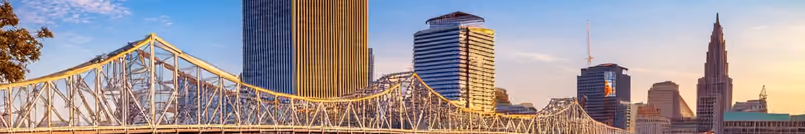 Page header banner