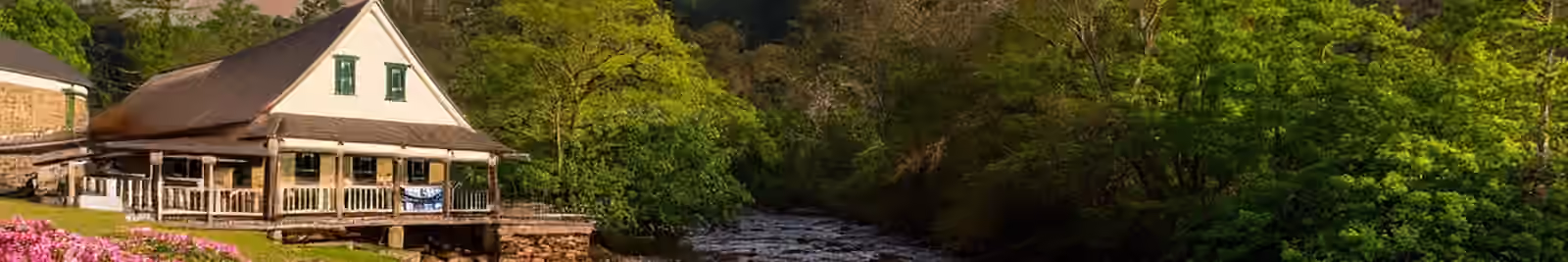 Page header banner