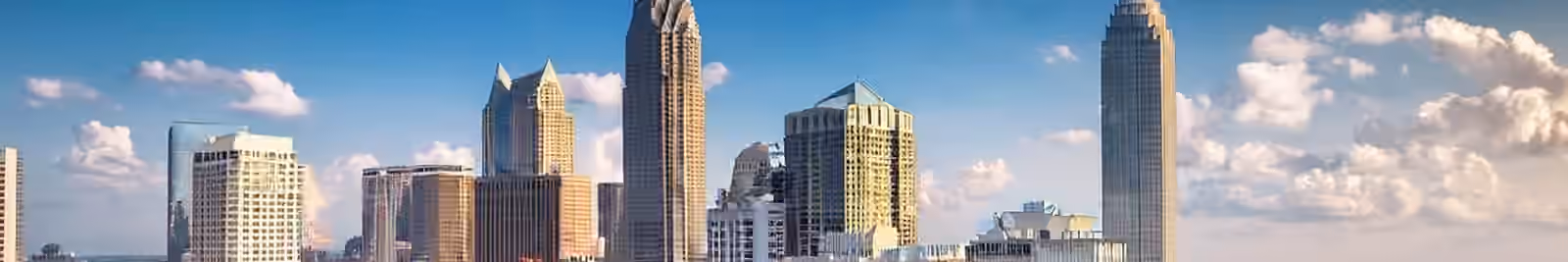 Page header banner