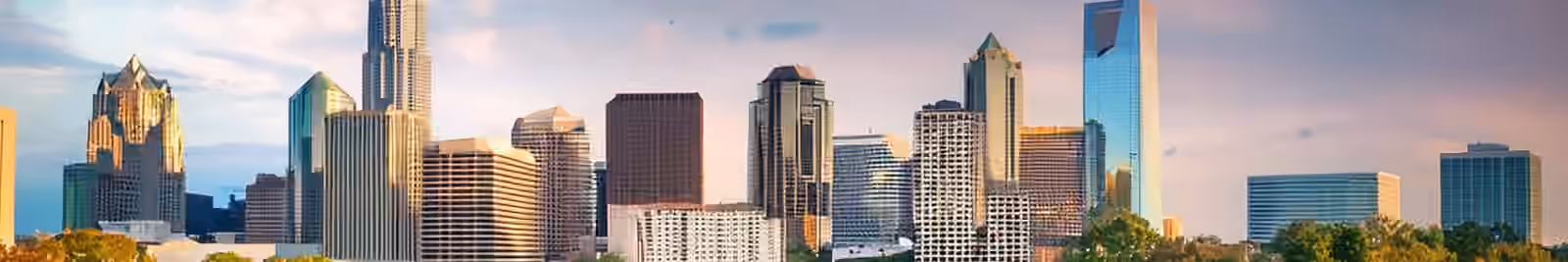 Page header banner