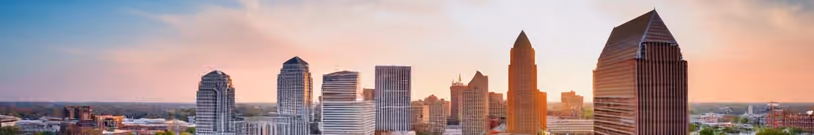 Page header banner