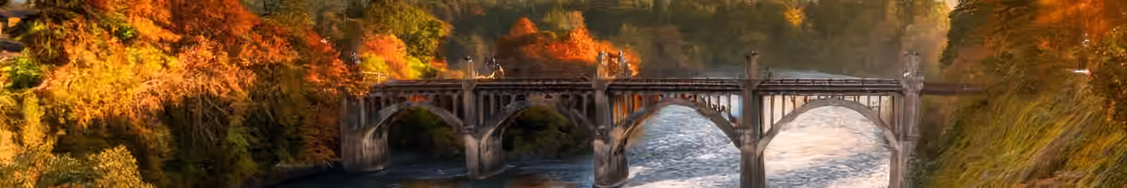 Page header banner