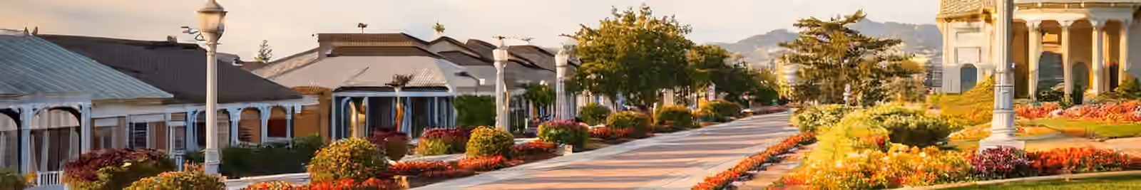 Page header banner