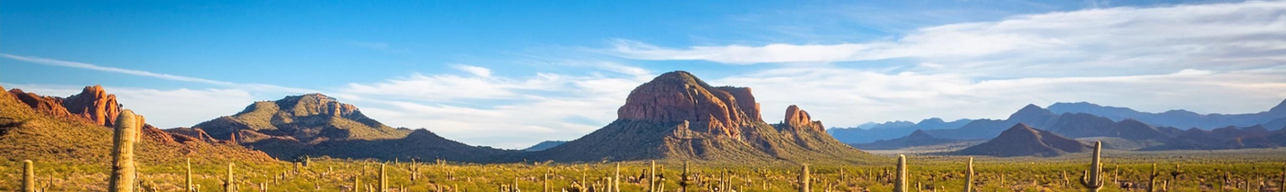 IT Help Desk Services in Goodyear, Arizona