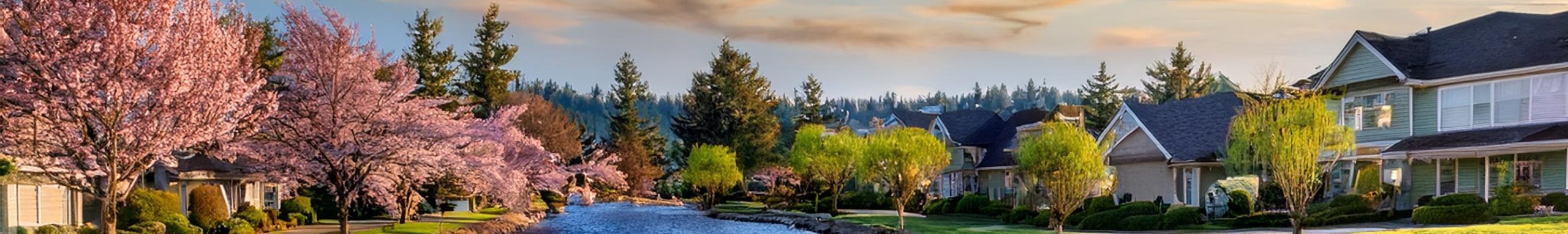 IT Help Desk Services in Renton, Washington